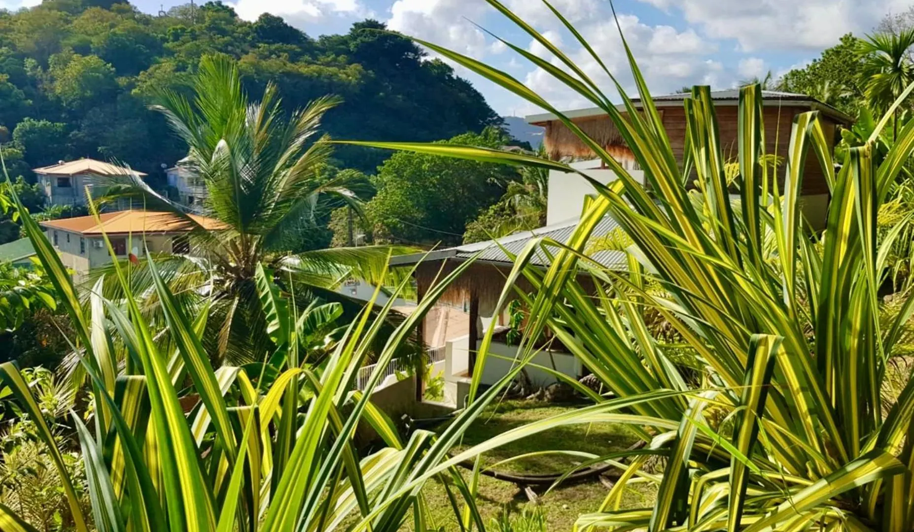 Cocotier, Elegant T3 Avec Jardin Tropical Διαμέρισμα Sainte-Anne